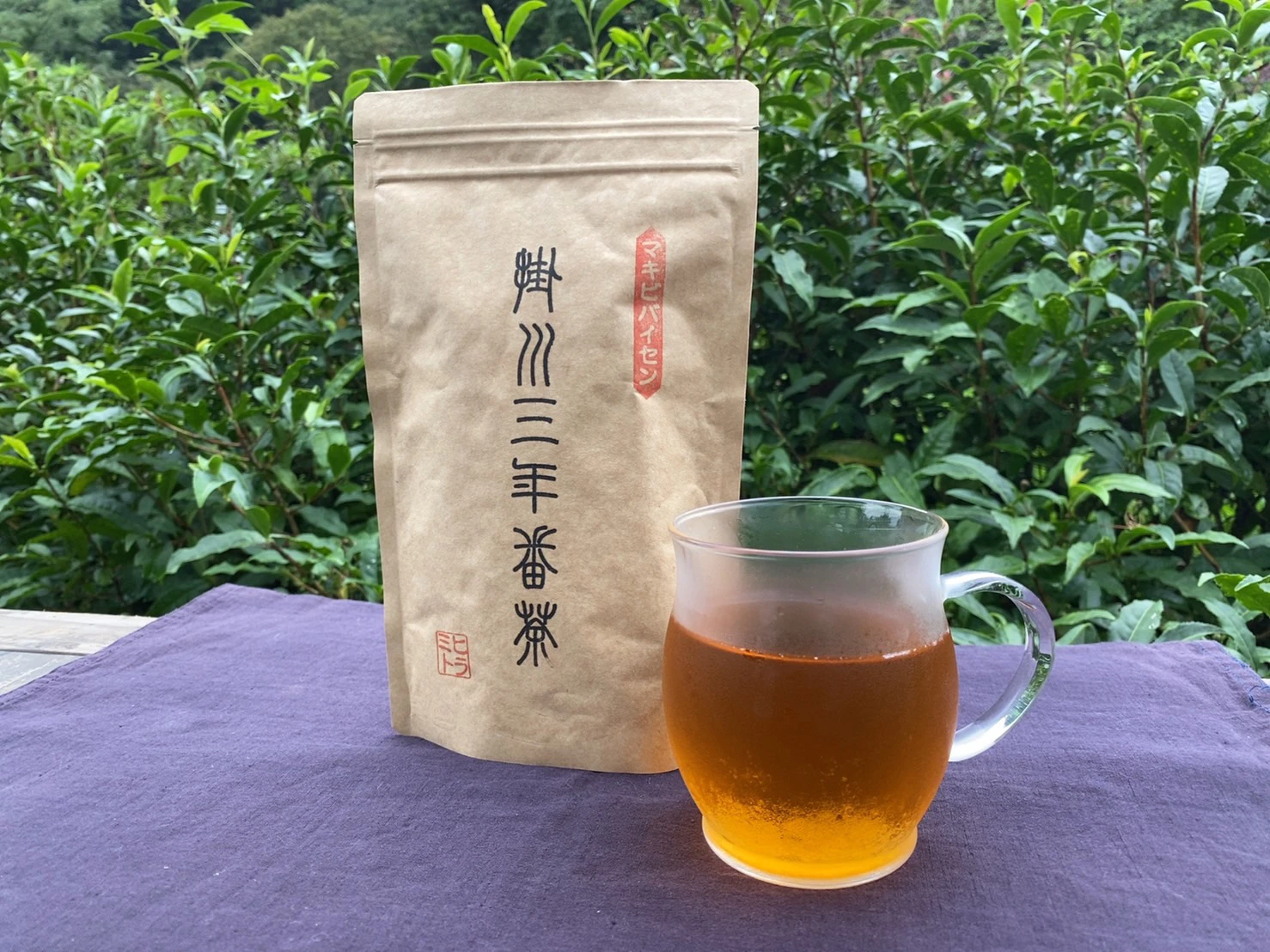 掛川三年番茶【茶葉】